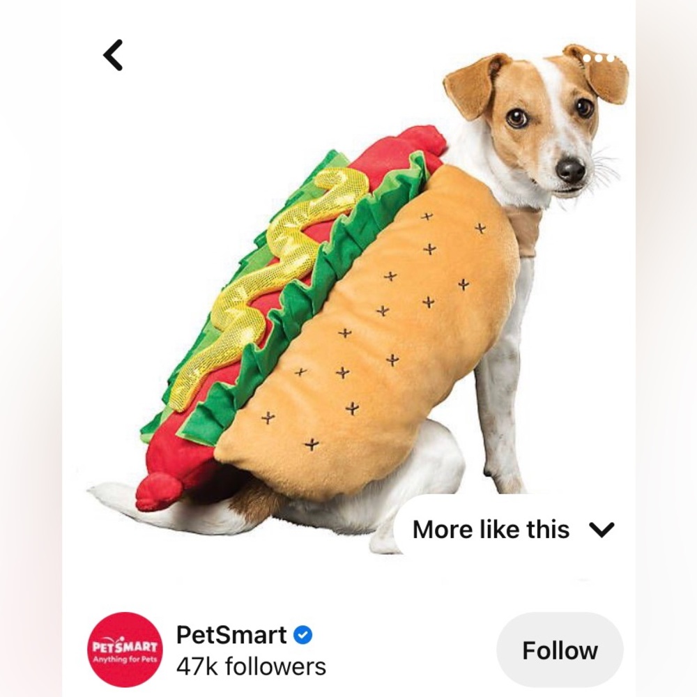 Dog’s Hotdog Costume 🌭